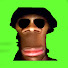 ItAKw9mniIA-channel-avatar-The Gmod