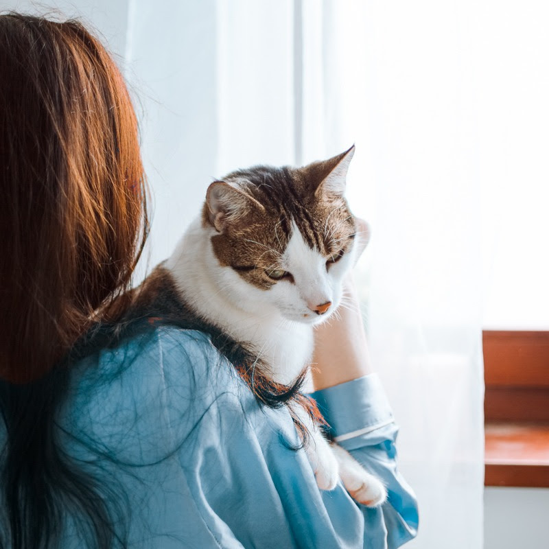 She and Her Cat