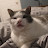 @HouseCat735