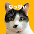 MTcRcYRHlDQ-channel-avatar-らんぶる Ramble