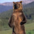 Grizzly Valley Bear