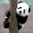panda stick 월드