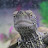 @PJandtheTetras Avatar