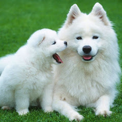 スカッとウーマン