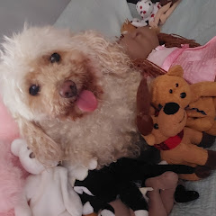 jaymee channel thumbnail