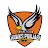 Hawks Punjabi Cricket Club