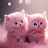 @lovecats-sv3bz