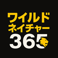 ワイルドネイチャー365の画像