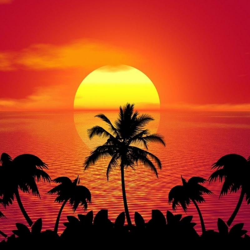 Channel Avatar