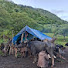 sZY8W-NVuZ4-channel-avatar-The Himalayan Lifestyle77
