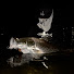 NOlu43YQizw-channel-avatar-TSURENAI 北海道