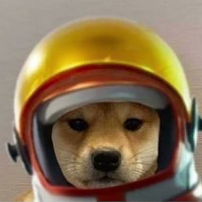 Skittle (beluga's best friend)