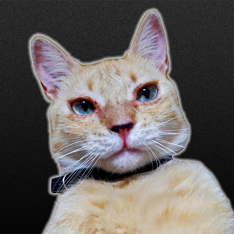 Tala