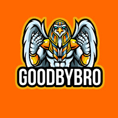 goodbybro 