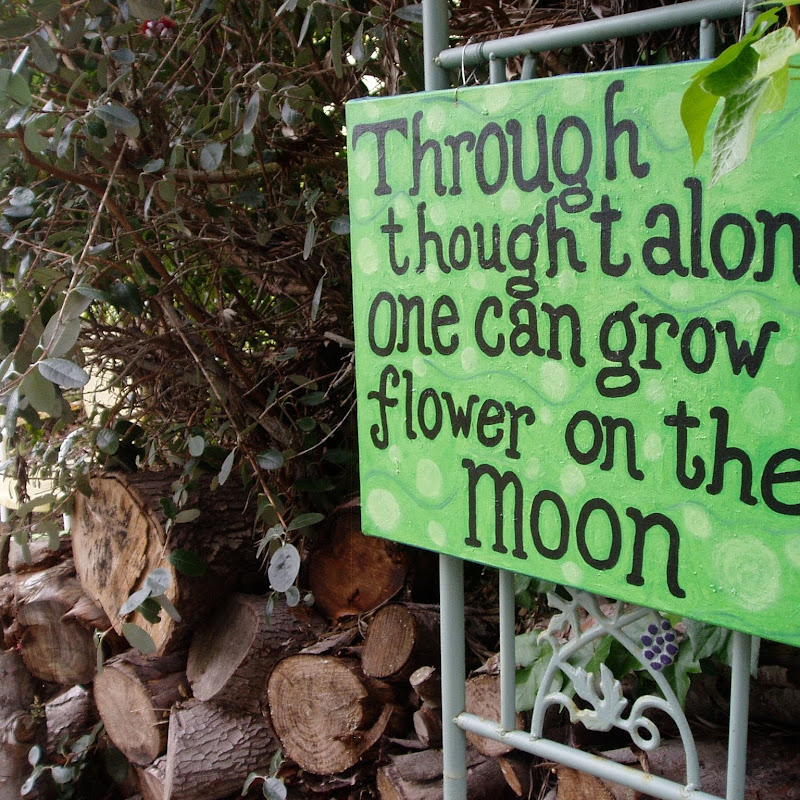 Mother Moon Monastery and Herb Farm icon