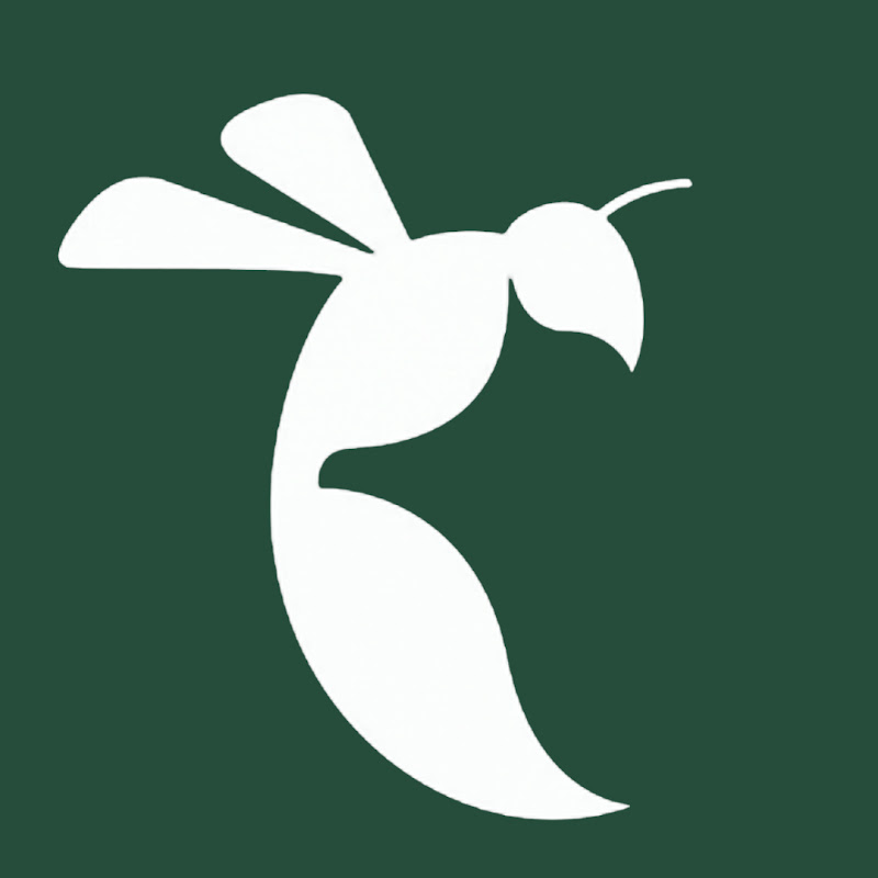 The State Hornet