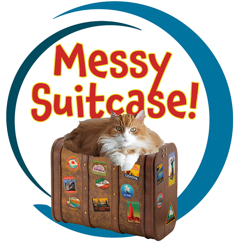 Messy Suitcase! icon