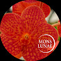 Mons Lunae logo