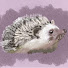 qb2Mh1v2e7I-channel-avatar-Hedgehog Diaries