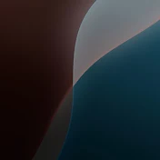 井