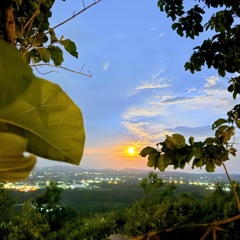 Về Vườn Cùng Chung