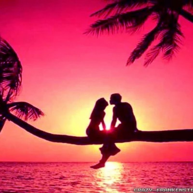 𝐋𝐨𝐟𝐢 𝐌𝐮𝐬𝐢𝐜