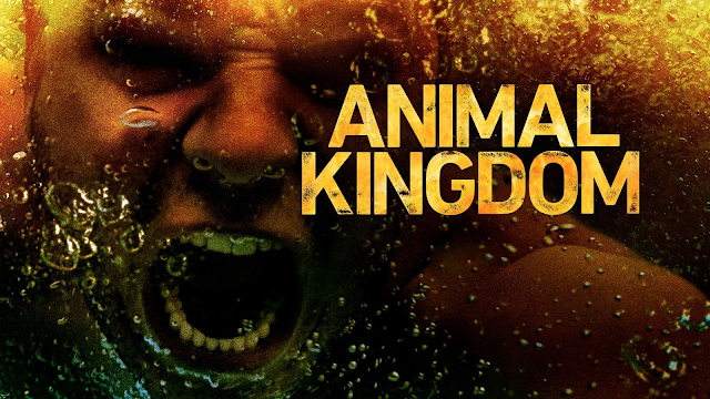 Watch Animal Kingdom online |  TV (Free Trial)