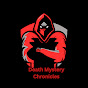 Death Mystery Chronicles logo