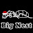 @BigNest-Ants