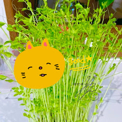 ゆーみの独り言channelアイコン画像