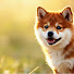 Channel Image