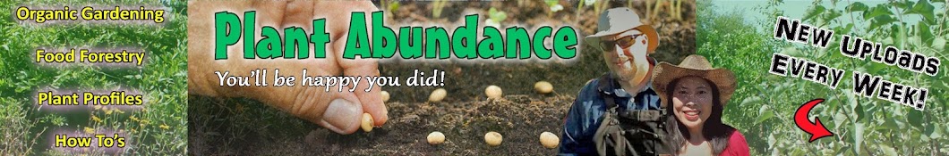 Plant Abundance YouTube channel avatar