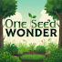 rAnMKTKWggA-channel-avatar-One Seed Wonder