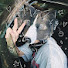 o9sjErcUpiQ-channel-avatar-Kiara On Paws ╶⃝⃤