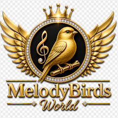 MelodyBirds World
