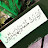@المجروح-س9ك