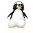 @Klytoi_pingvin
