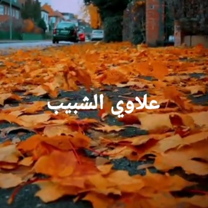 علاوي الشبيب