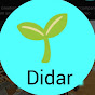 Didar logo