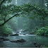Qbcwnd9jp1g-channel-avatar-Forest Flow Mood