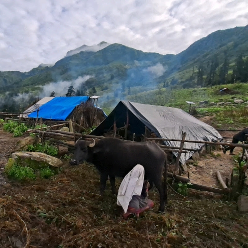 Real Nepali Village