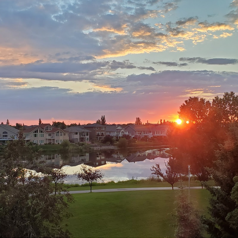 Dean Mitchell thumbnail