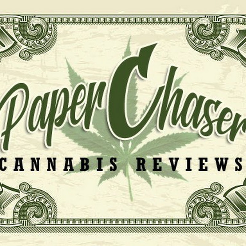 Paper Chaser Cannabis Reviews LLC Realtime YouTube Live Subscriber ...