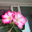 @김기호-j8l