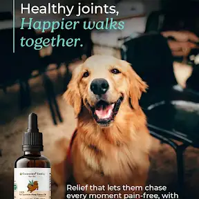 CannazoIndia YouTube channel