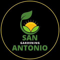 San Antonio Gardening