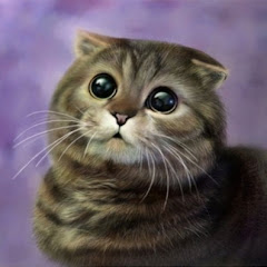 感動サプライズ朗読 