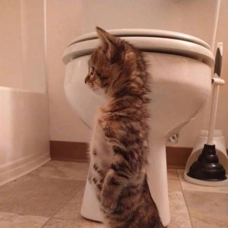 Hire 3sa — Business & Finance YouTube creator for sponsorships