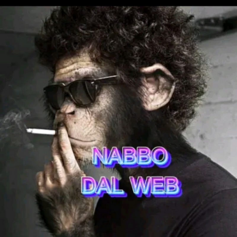 nabbodalweb