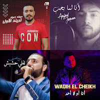 يريد مهند زغير